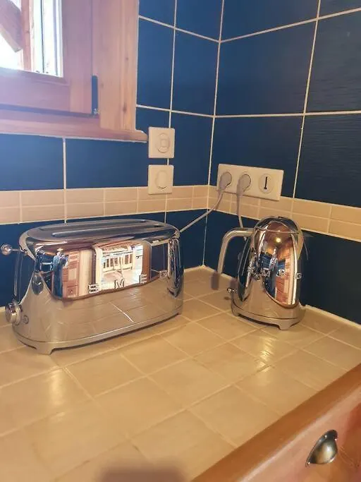 Chalet Ar Menez Ski Aux Pieds Les Deux Alpes France